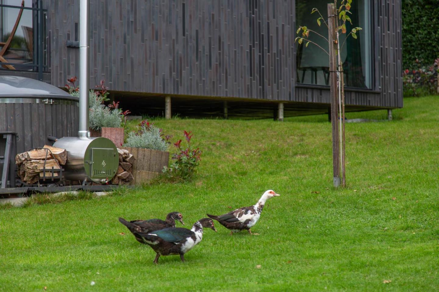 Meerbeek Unwind Kortenberg Dış mekan fotoğraf